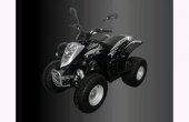 2010 E-Ton Viper ST. Exl-50 photo